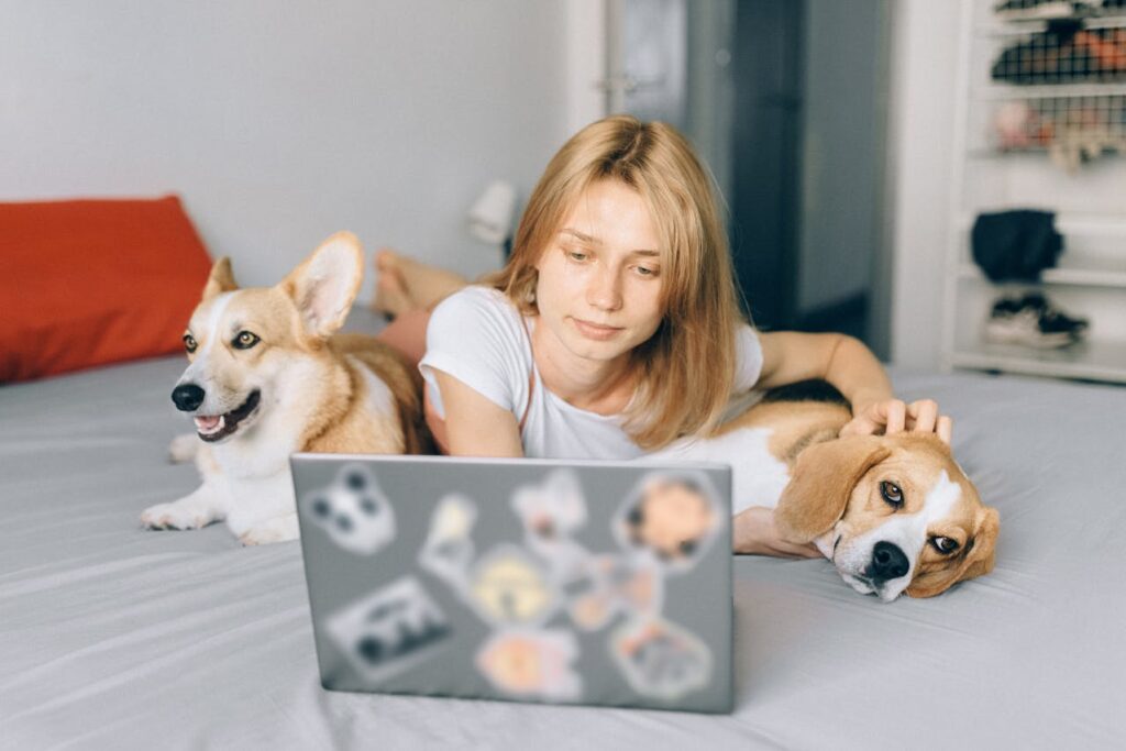 Como acabar com mau cheiro de animais de estimação dentro de casa 2