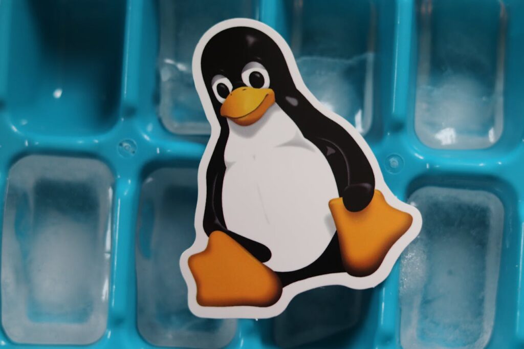 Linux: Conheça os principais recursos do sistema operacional 2